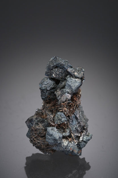 CC28467 specimen image