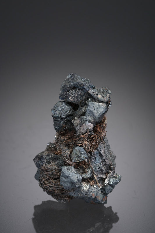 CC28467 specimen image