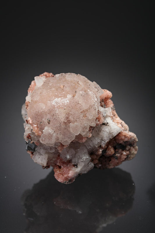CC28473 specimen image