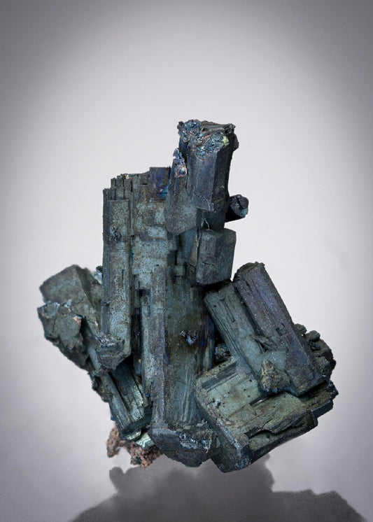CC28479 specimen image