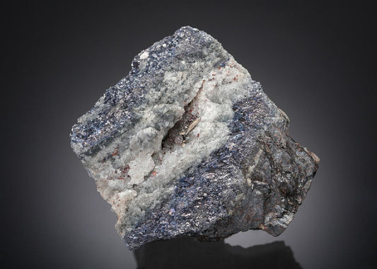 CC28485 specimen image