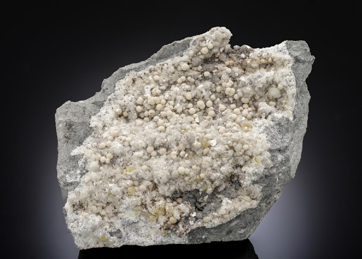 CC28495 specimen image