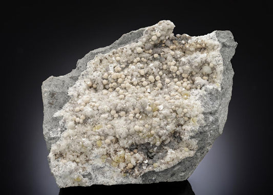 CC28495 specimen image