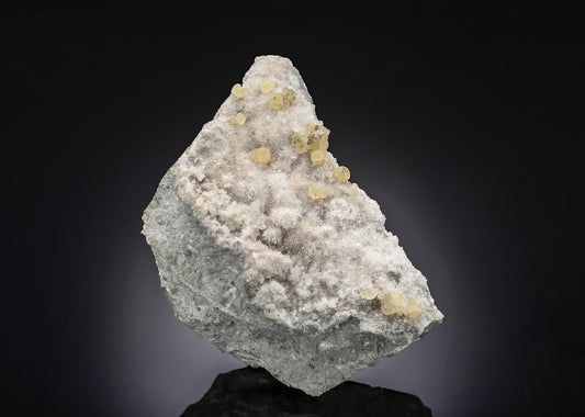 CC28507 specimen image