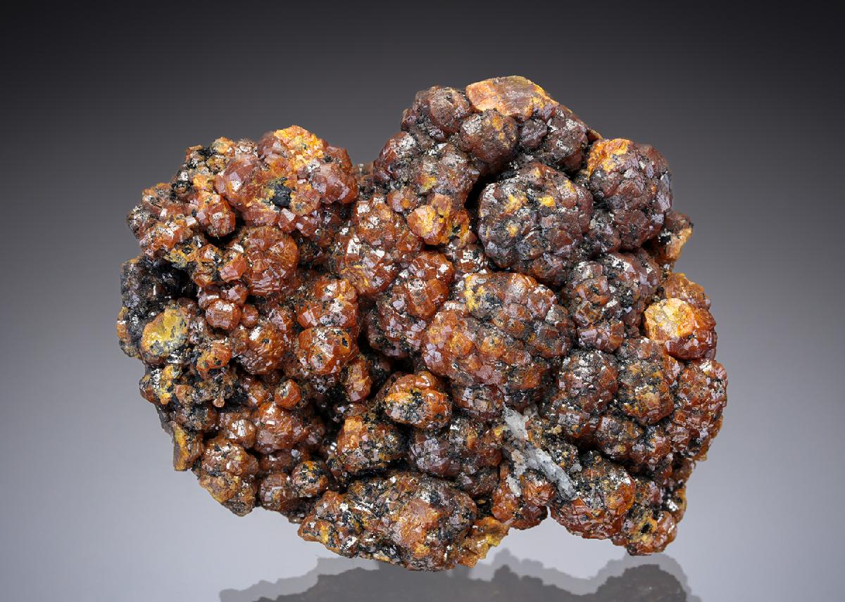 CC28511 specimen image
