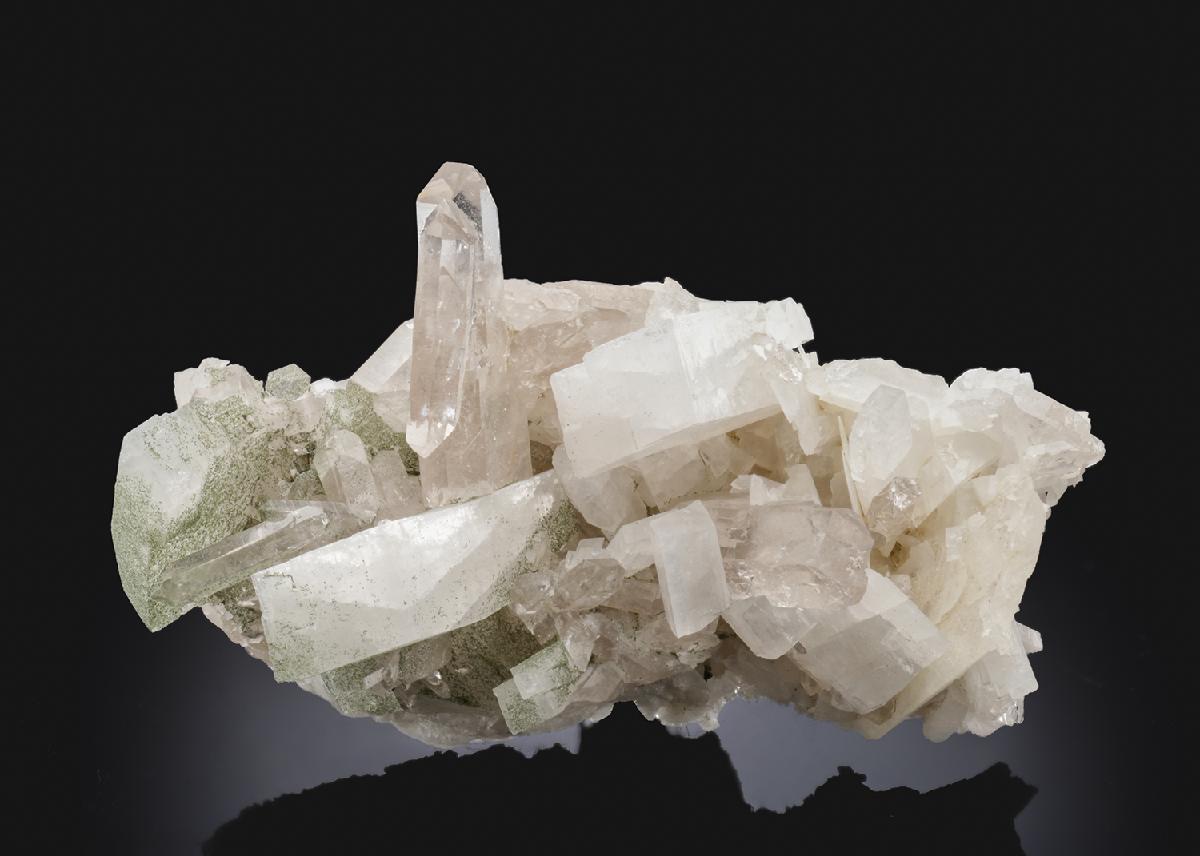 CC28533 specimen image