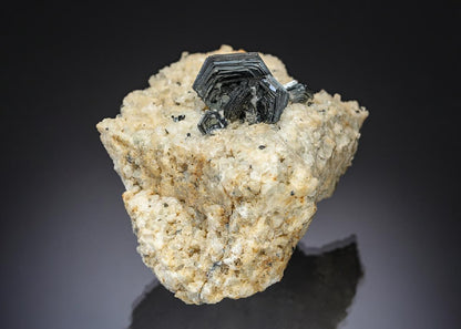 CC28541 specimen image