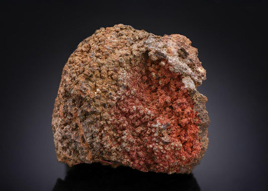 CC28569 specimen image