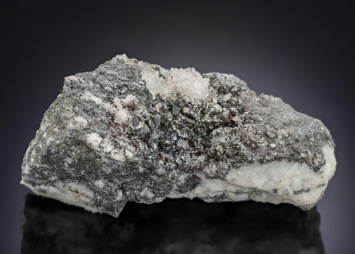 CC28573 specimen image
