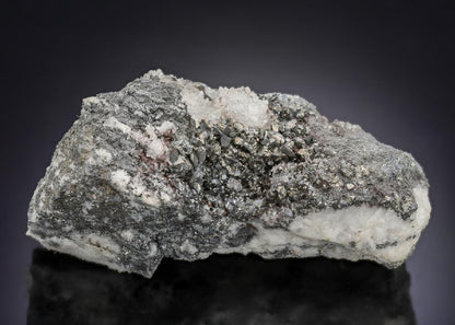 CC28573 specimen image