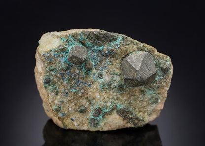 CC28575 specimen image