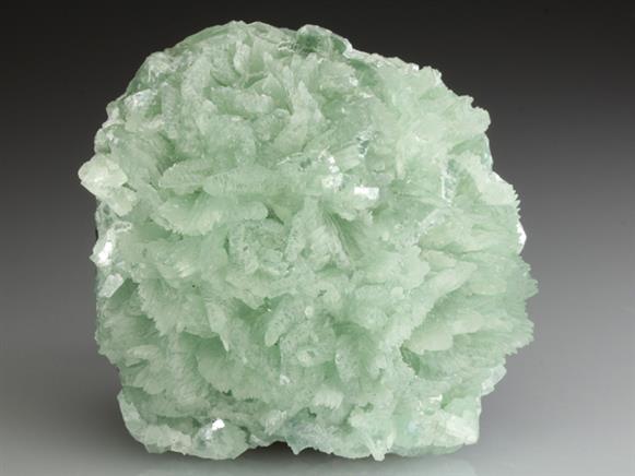 CC2859 specimen image