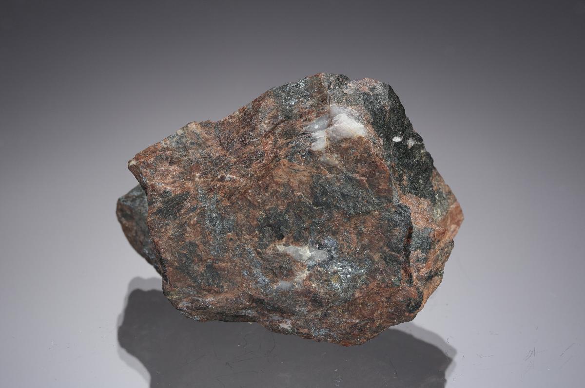 CC28605 specimen image