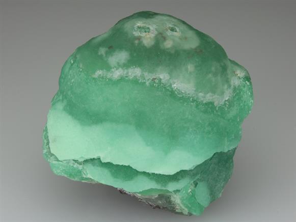 CC2861 specimen image