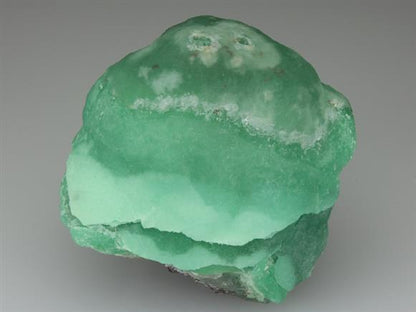 CC2861 specimen image