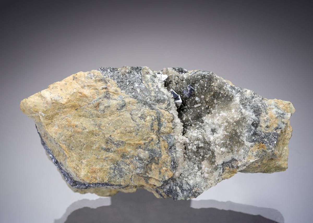 CC28623 specimen image
