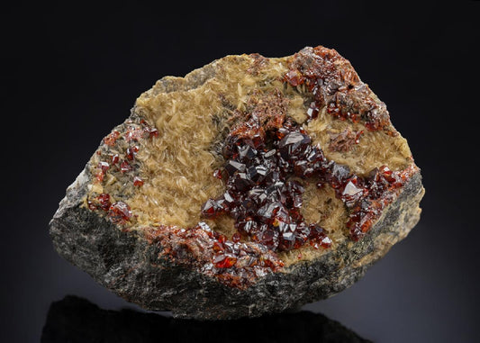 CC28631 specimen image