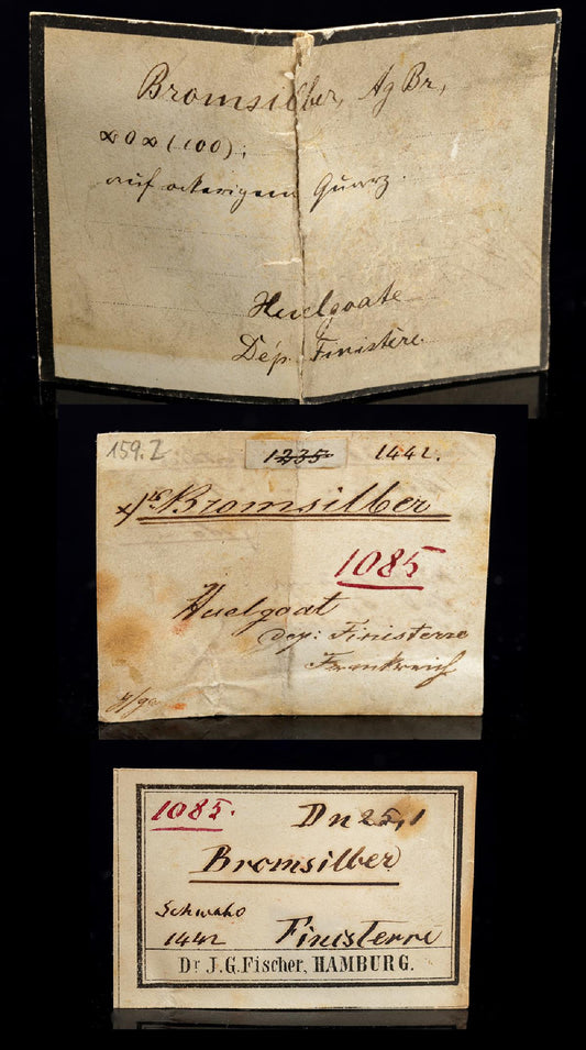 CC28643 specimen image