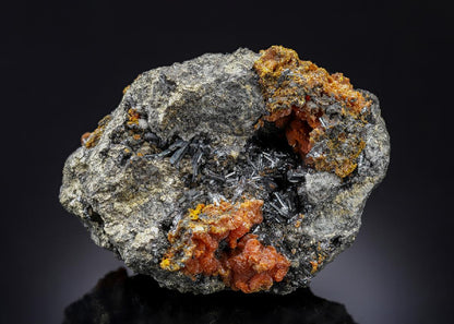 CC28649 specimen image