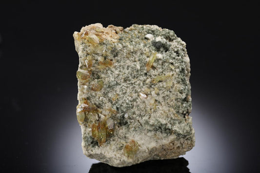 CC28661 specimen image