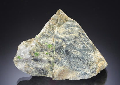 CC28695 specimen image
