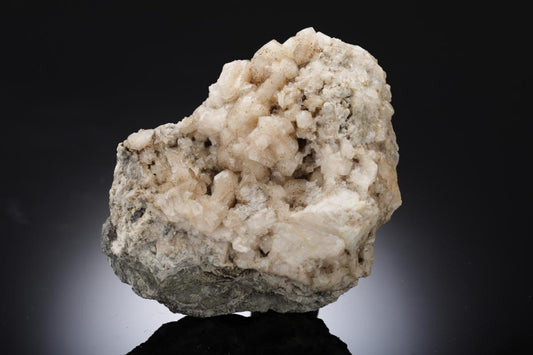 CC28723 specimen image