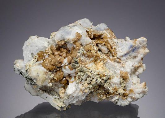 CC28727 specimen image
