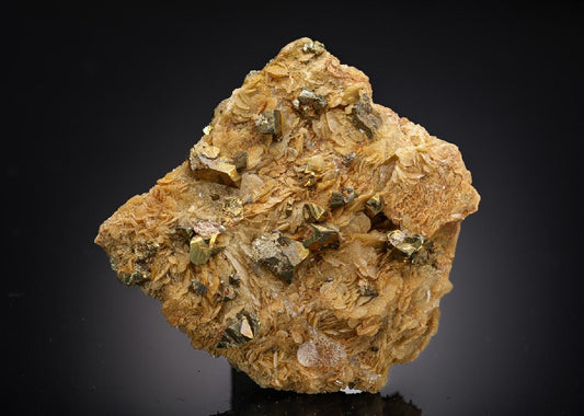 CC28743 specimen image
