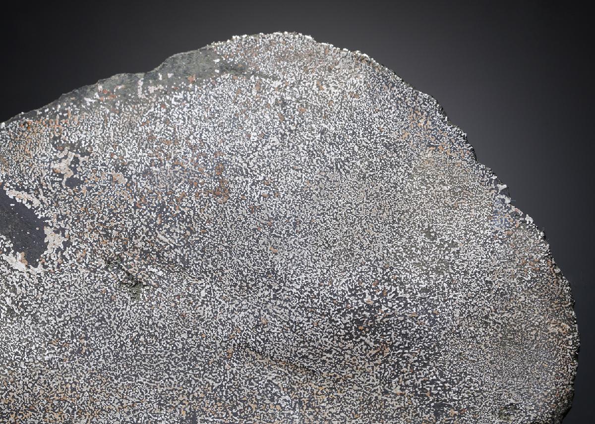 CC28745 specimen image