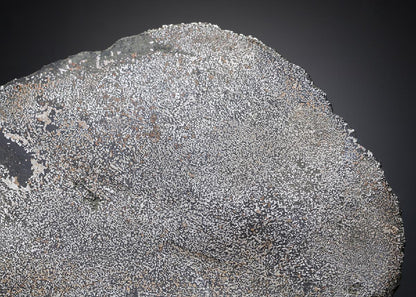 CC28745 specimen image