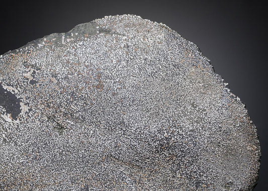 CC28745 specimen image