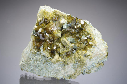 CC28759 specimen image