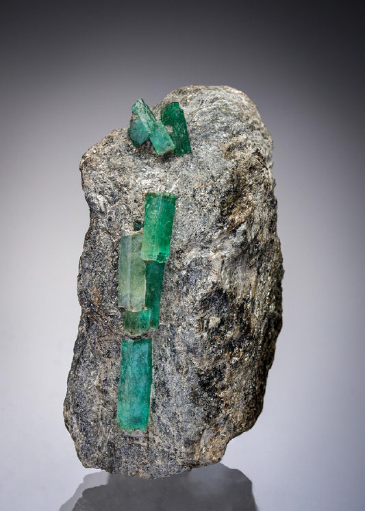 CC28761 specimen image