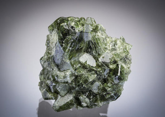 CC28767 specimen image