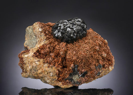 CC28783 specimen image