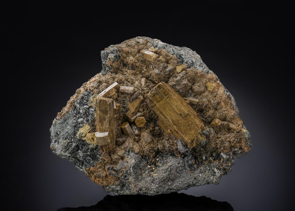 CC28793 specimen image