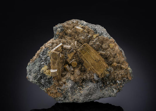 CC28793 specimen image