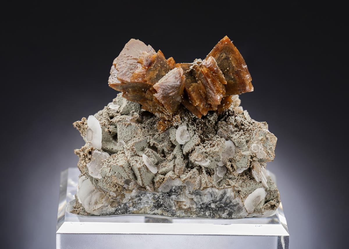 CC28799 specimen image