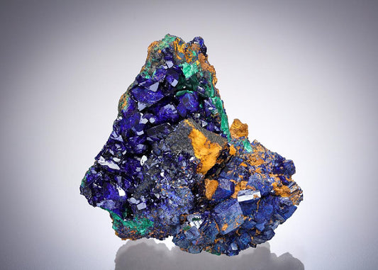 CC28811 specimen image