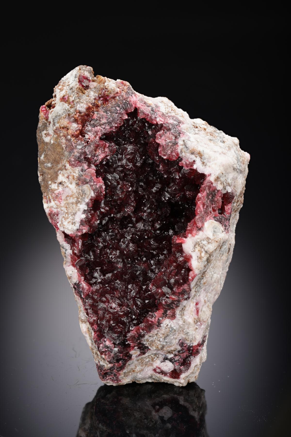 CC28839 specimen image