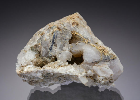 CC28847 specimen image