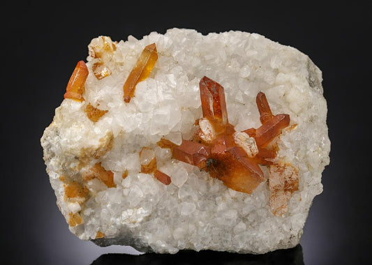 CC28883 specimen image