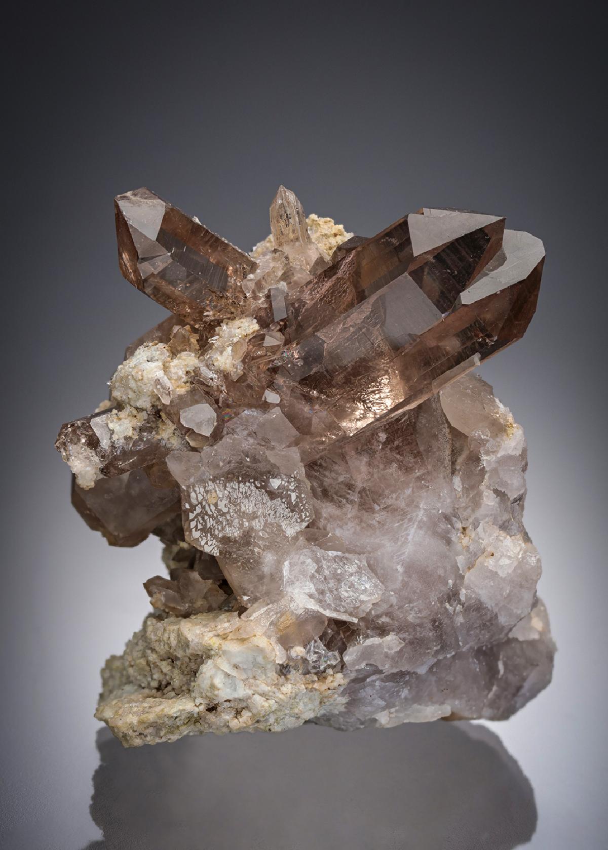 CC28887 specimen image