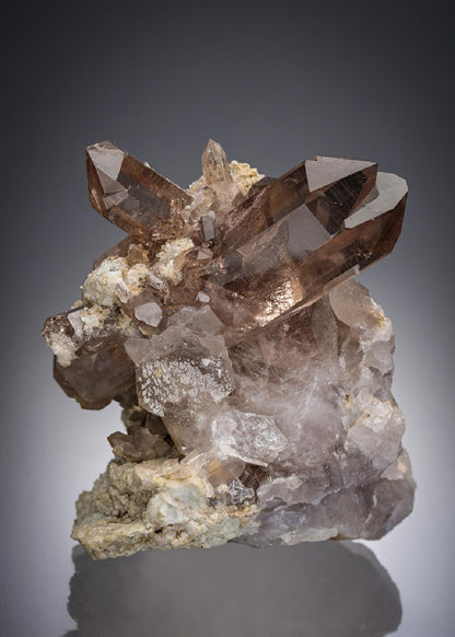 CC28887 specimen image