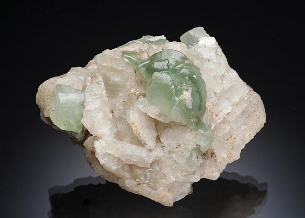 CC28893 specimen image