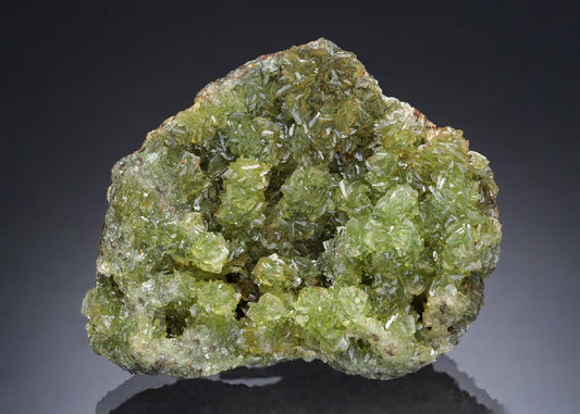 CC28903 specimen image
