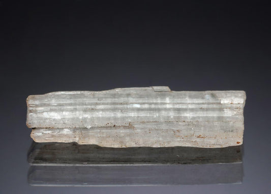 CC28905 specimen image