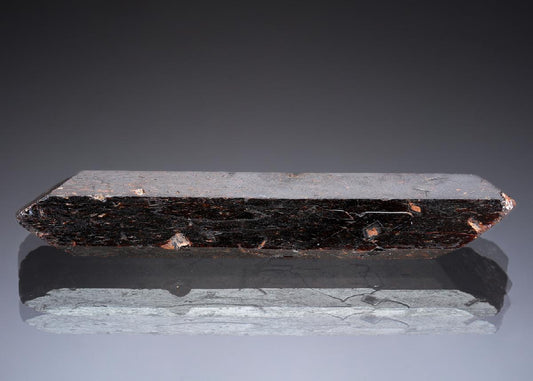 CC28907 specimen image
