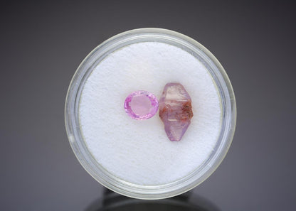 CC28915 specimen image