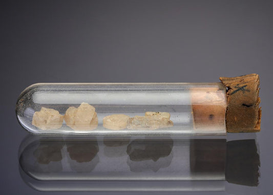 CC28921 specimen image